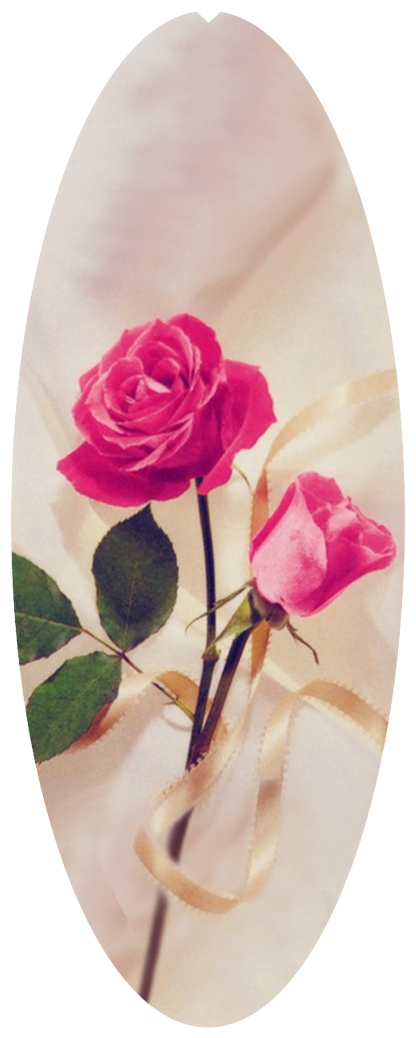 DNSA18-508 Ribbon and Rose